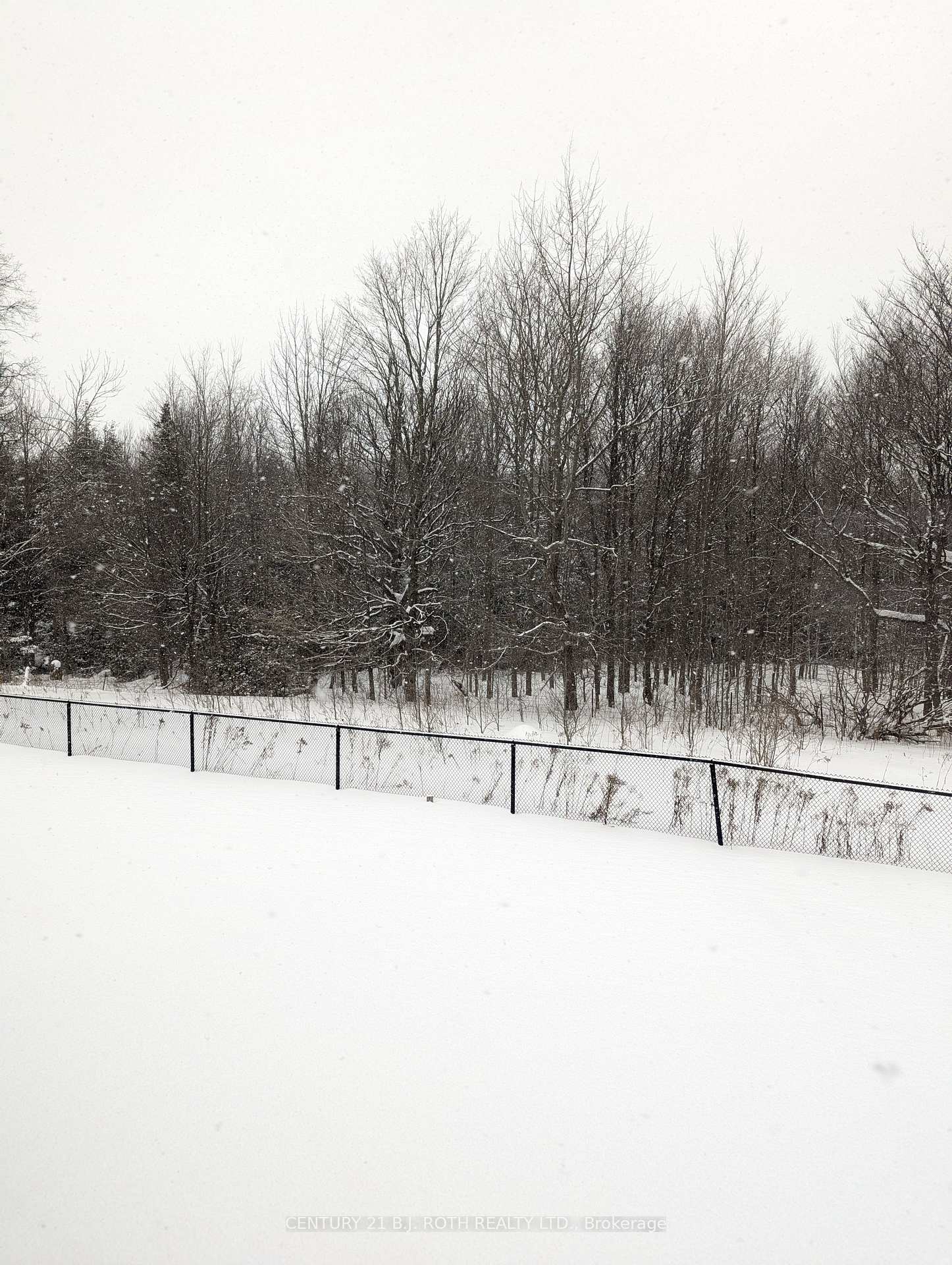 Photo 14 of 375 Leanne Lane, Shelburne — HOMEH