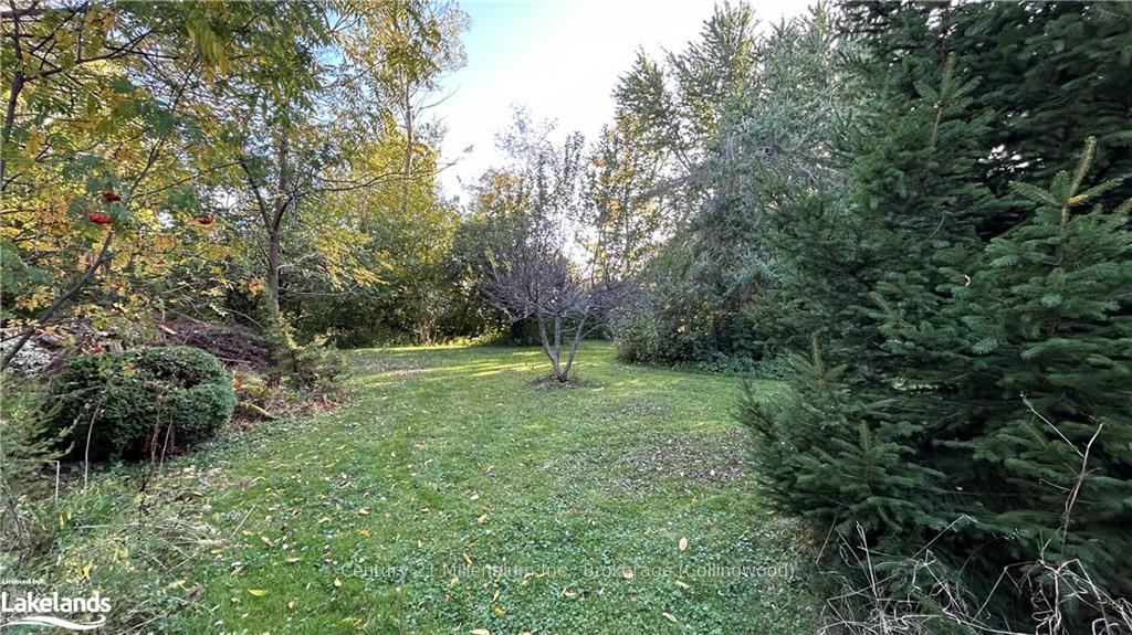 Photo 7 of 472 Sixth Street, Collingwood — HOMEH