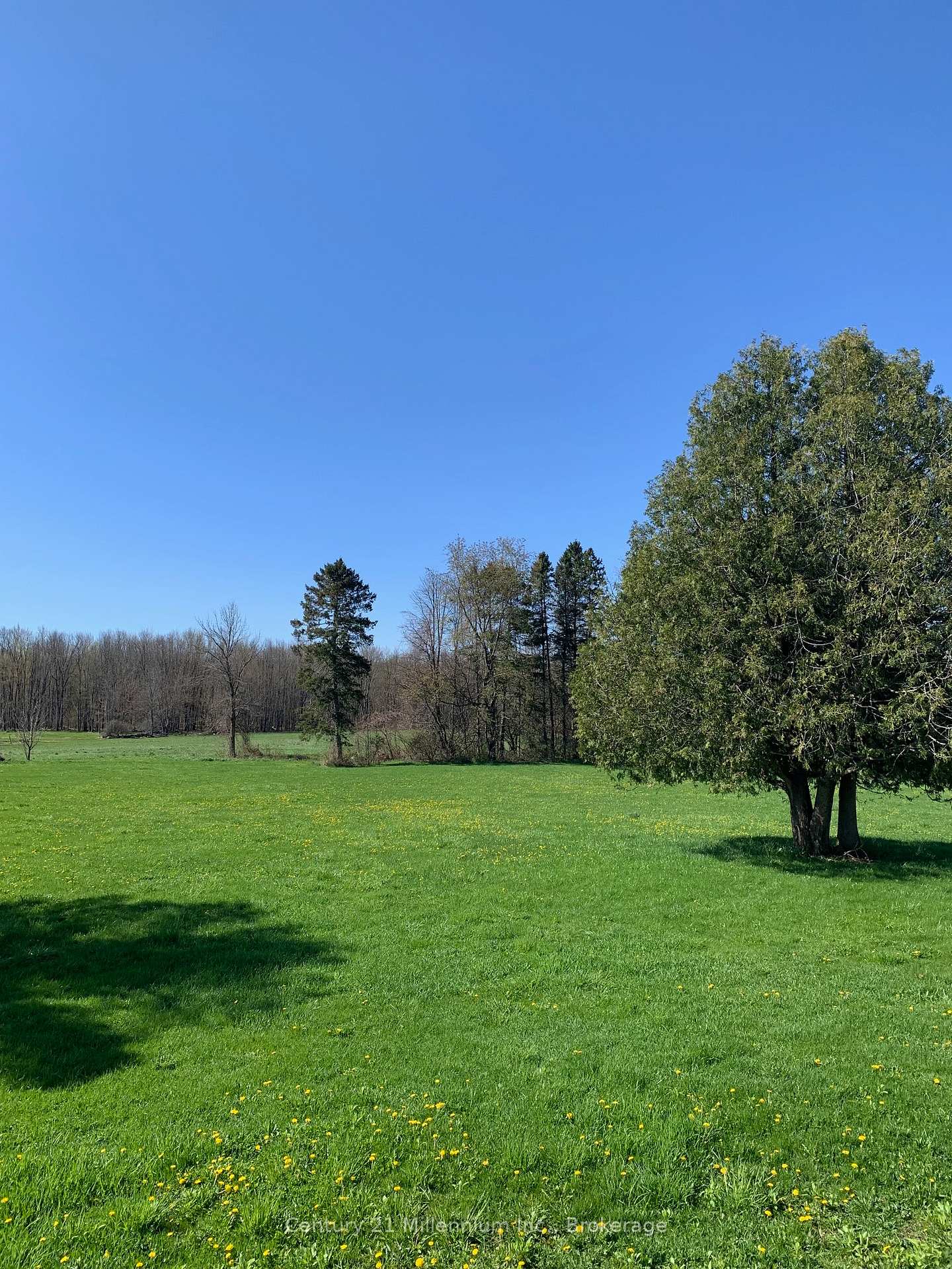Photo 7 of 264094 Sideroad 24 Concession, Meaford — HOMEH