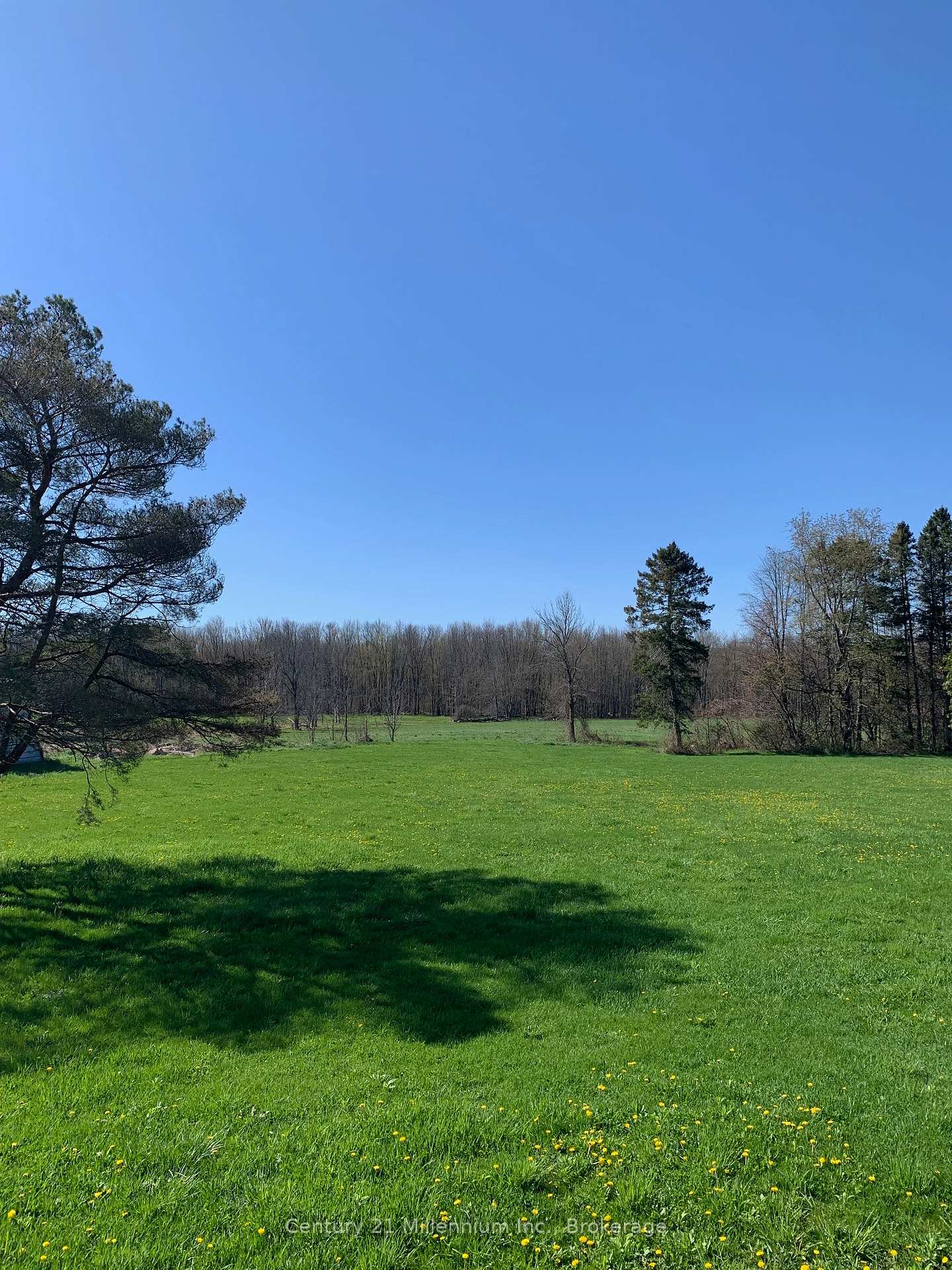 Photo 6 of 264094 Sideroad 24 Concession, Meaford — HOMEH