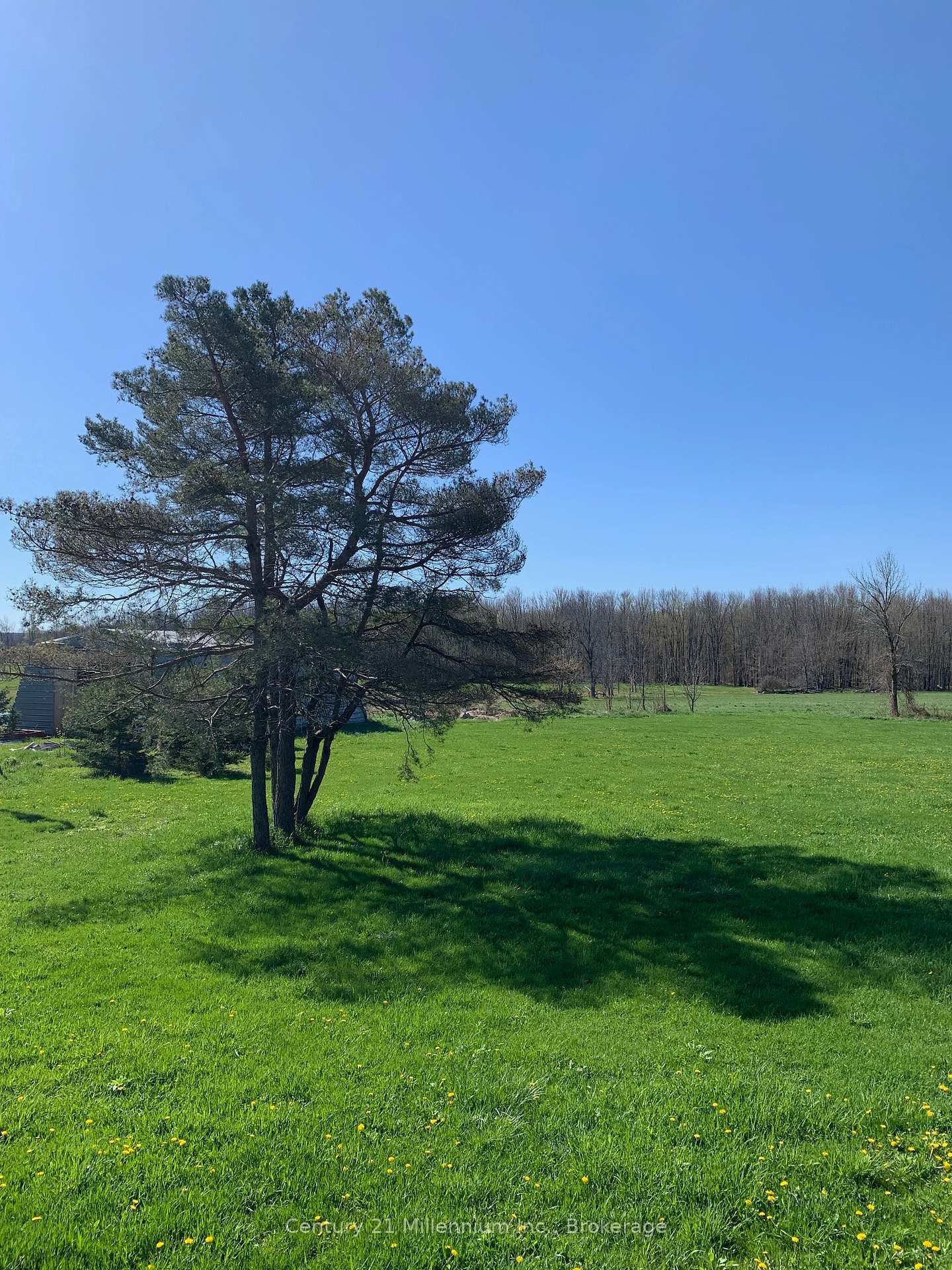 Photo 3 of 264094 Sideroad 24 Concession, Meaford — HOMEH