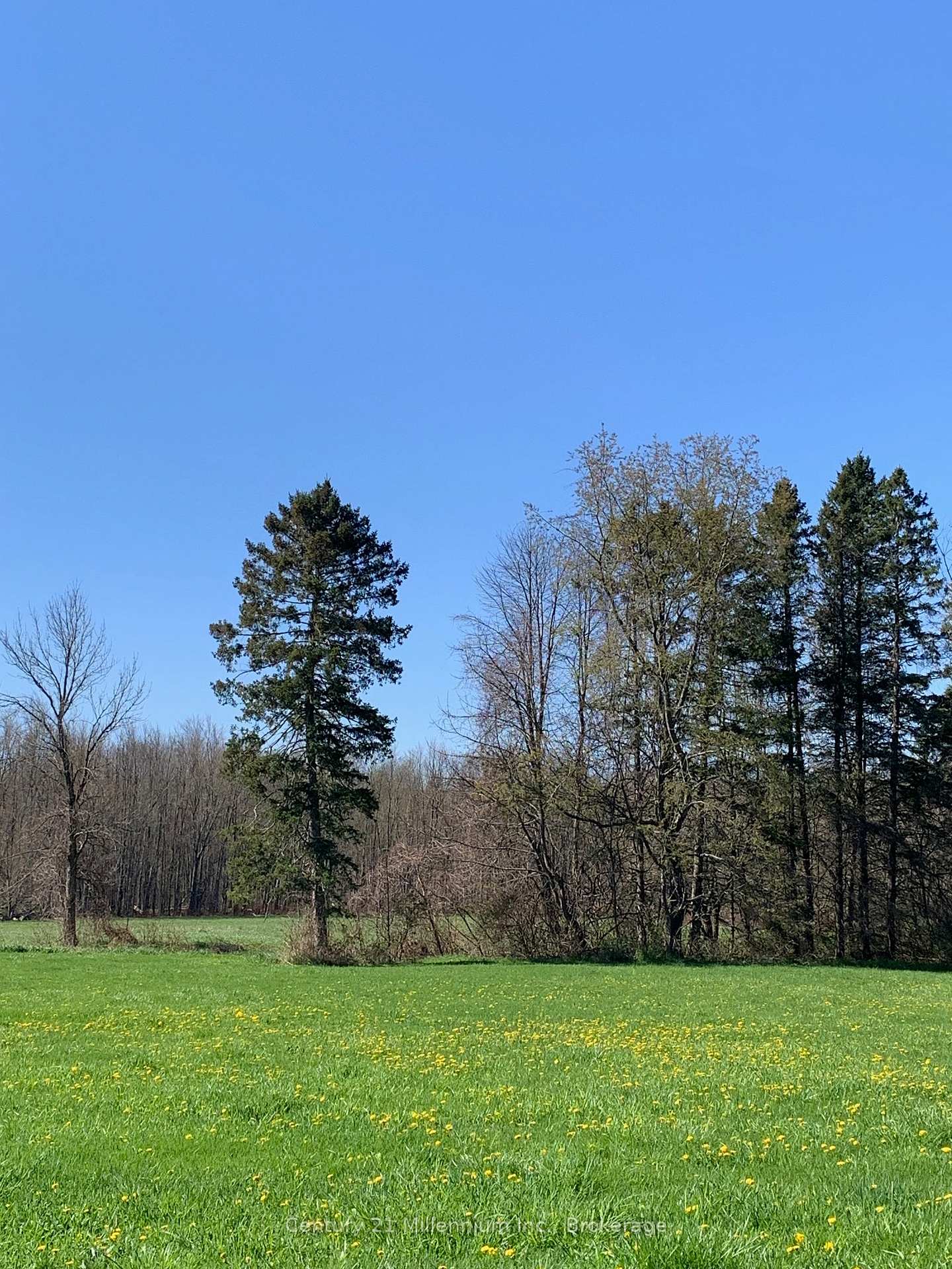 Photo 15 of 264094 Sideroad 24 Concession, Meaford — HOMEH