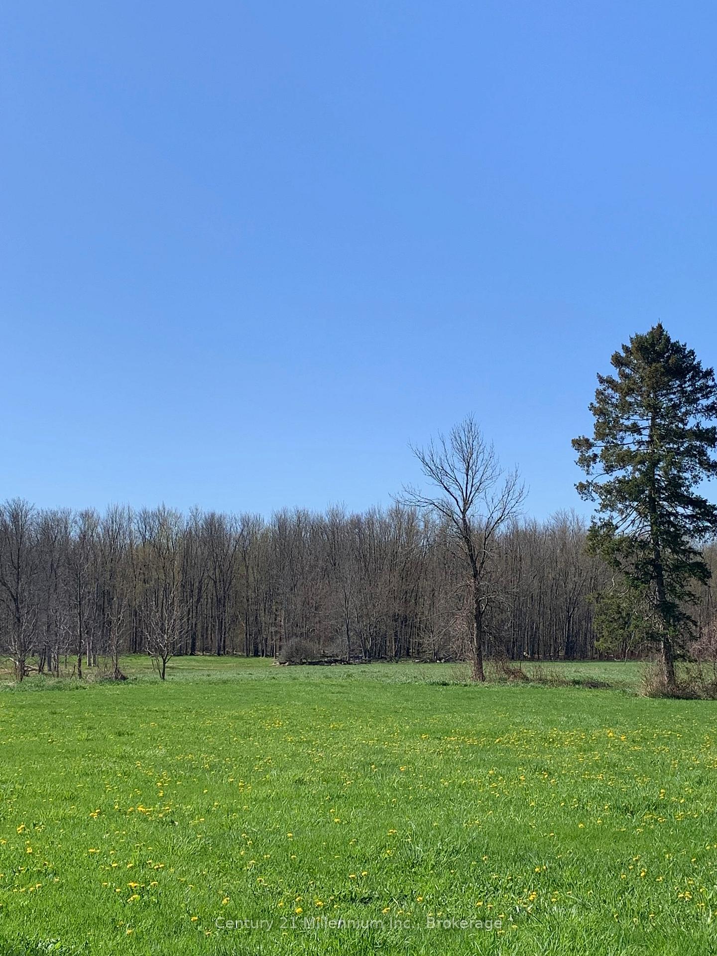 Photo 10 of 264094 Sideroad 24 Concession, Meaford — HOMEH