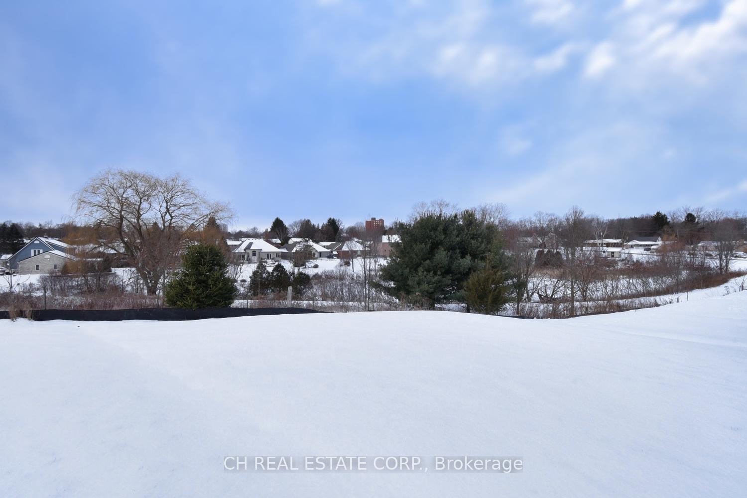Photo 17 of 25 Ford Street N, Brant, Paris — HOMEH
