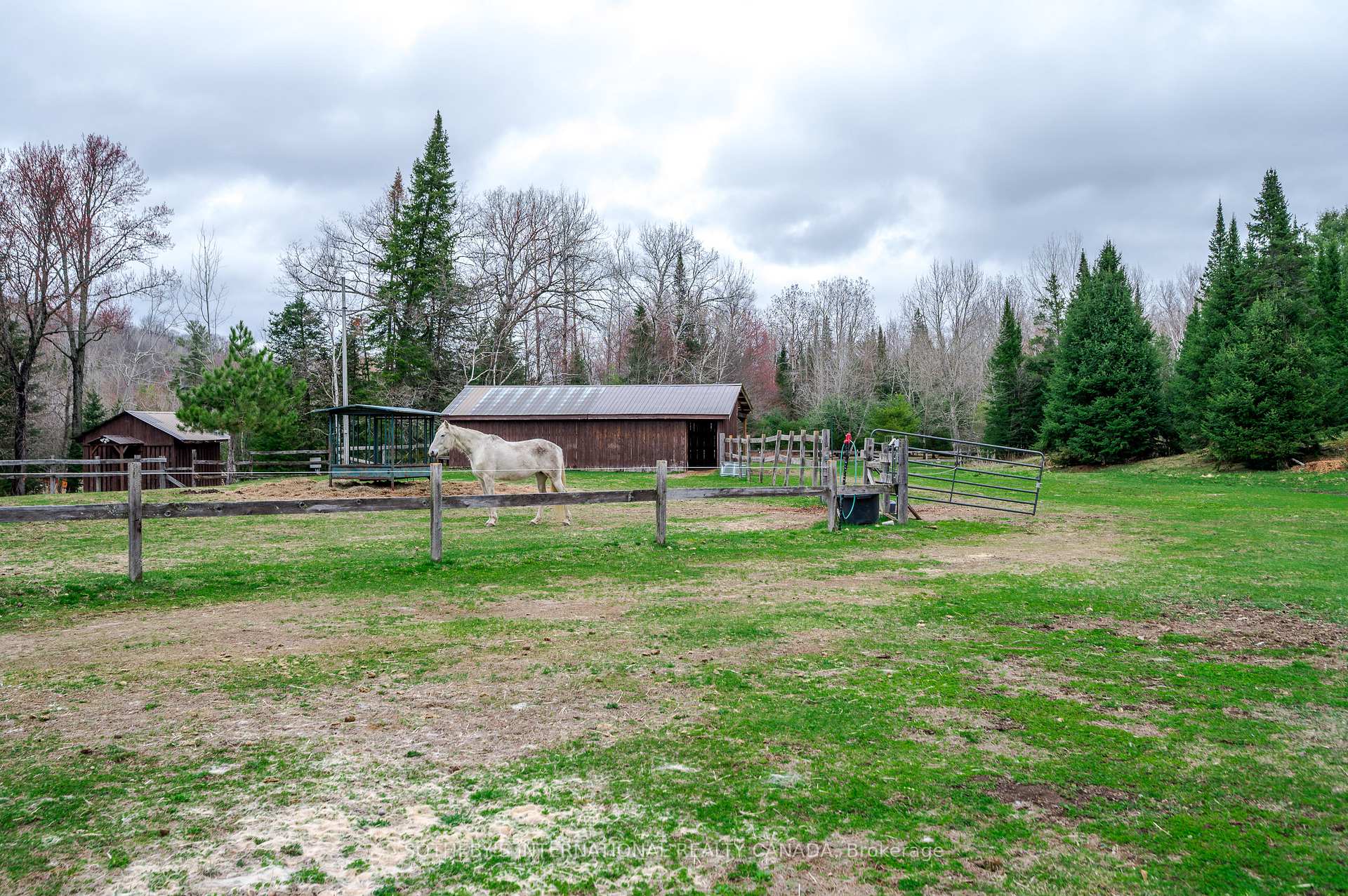 Photo 44 of 2004A Bay Lake Road, Bancroft — HOMEH
