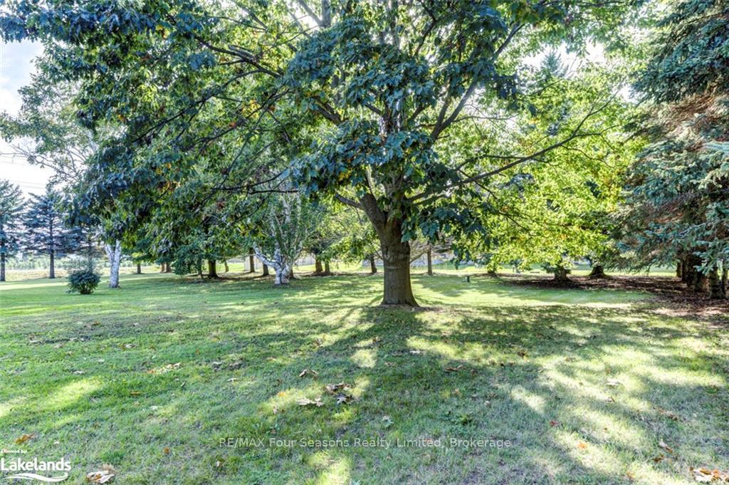 Photo 41 of 7950 Poplar Side Road, Collingwood — HOMEH