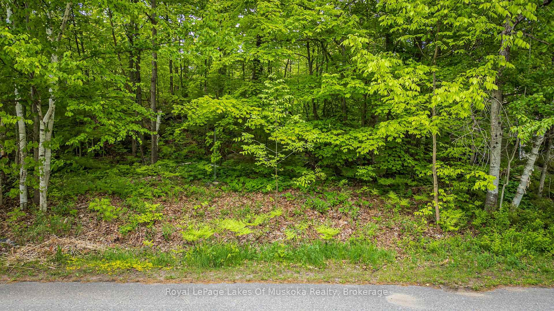 Photo 4 of 240 Revell Street, Gravenhurst — HOMEH