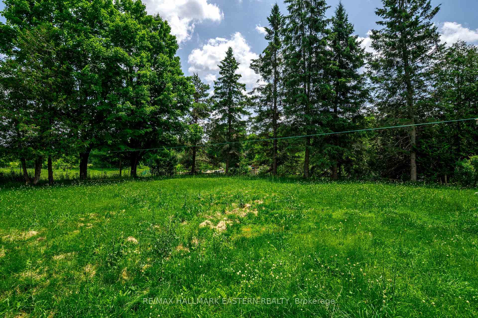 Photo 31 of 1625 Camp Line Road, Douro-Dummer — HOMEH