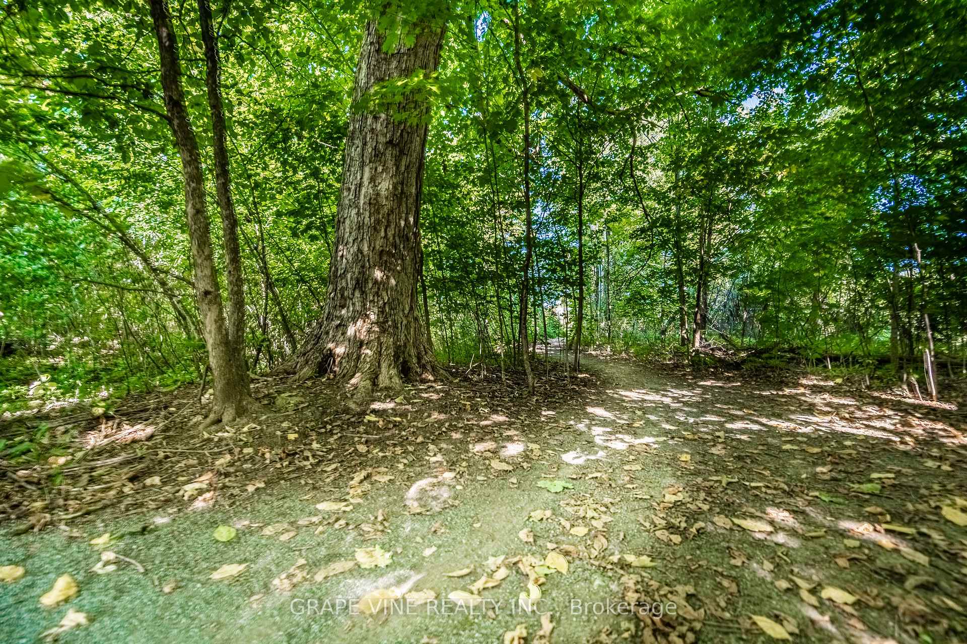 Photo 41 of 48 Cinnabar Way, Ottawa, Stittsville (Central) — HOMEH