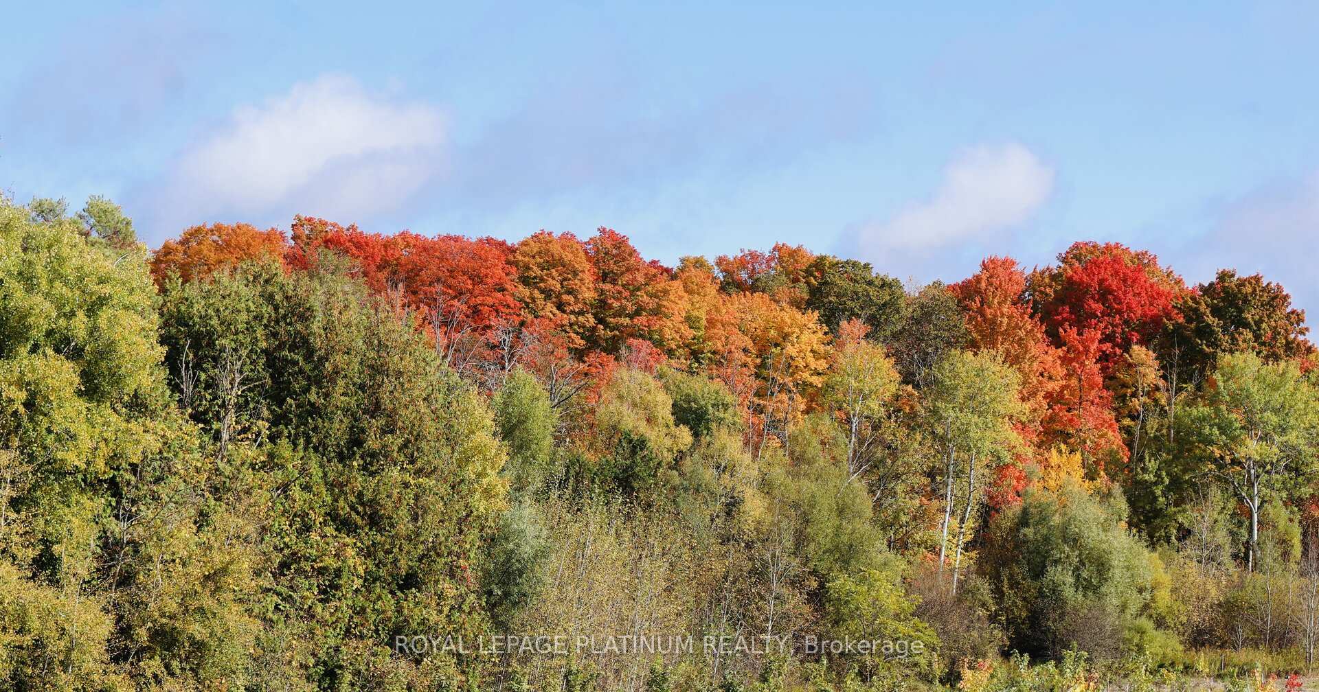 Photo 42 of 61 Raspberry Ridge Avenue, Caledon, Caledon East — HOMEH