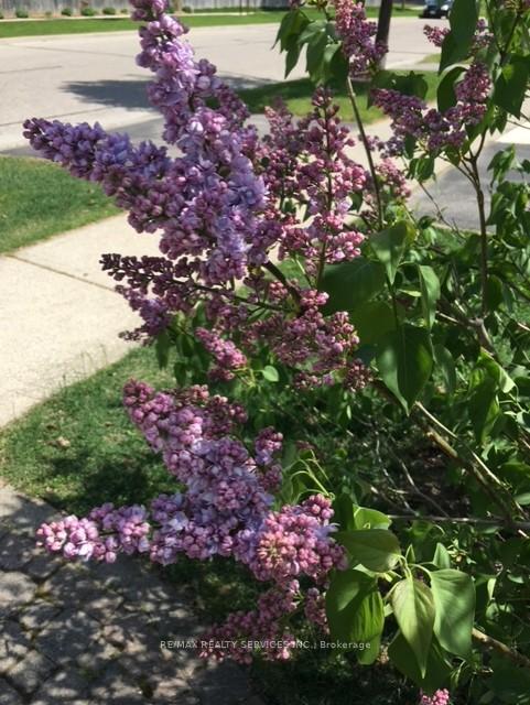 Photo 32 of 65 Wake Robin Drive, Kitchener, Larentian West — HOMEH