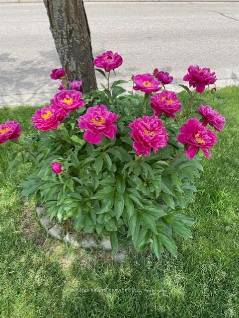 Photo 29 of 65 Wake Robin Drive, Kitchener, Larentian West — HOMEH