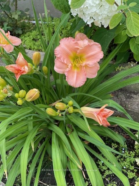 Photo 30 of 65 Wake Robin Drive, Kitchener, Larentian West — HOMEH
