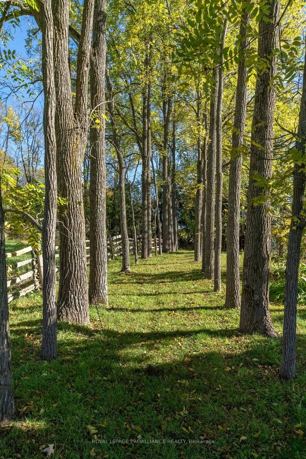 Photo 7 of 162 Leslie Road, Belleville, Thurlow Ward — HOMEH