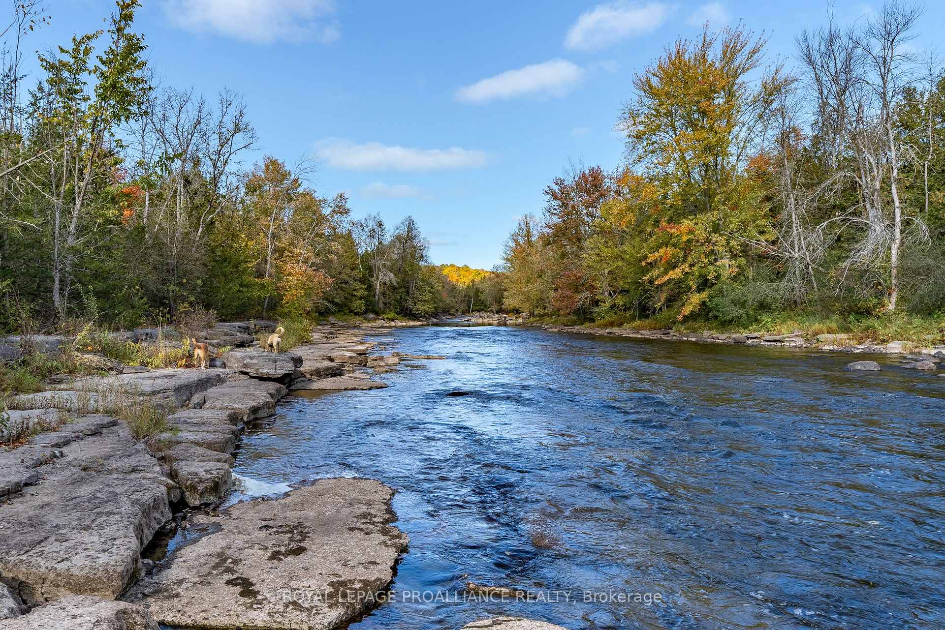 Photo 35 of 162 Leslie Road, Belleville, Thurlow Ward — HOMEH