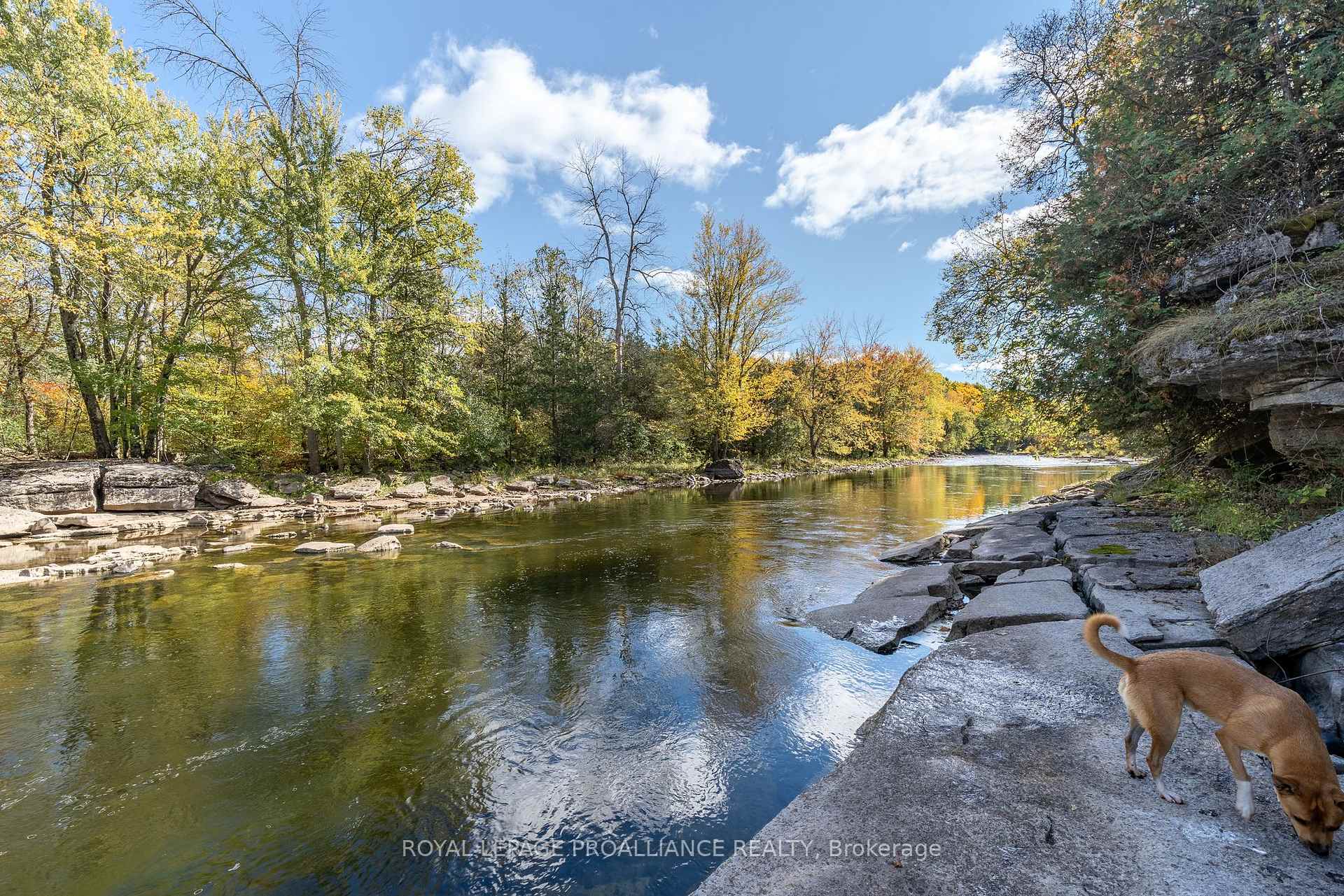 Photo 37 of 162 Leslie Road, Belleville, Thurlow Ward — HOMEH