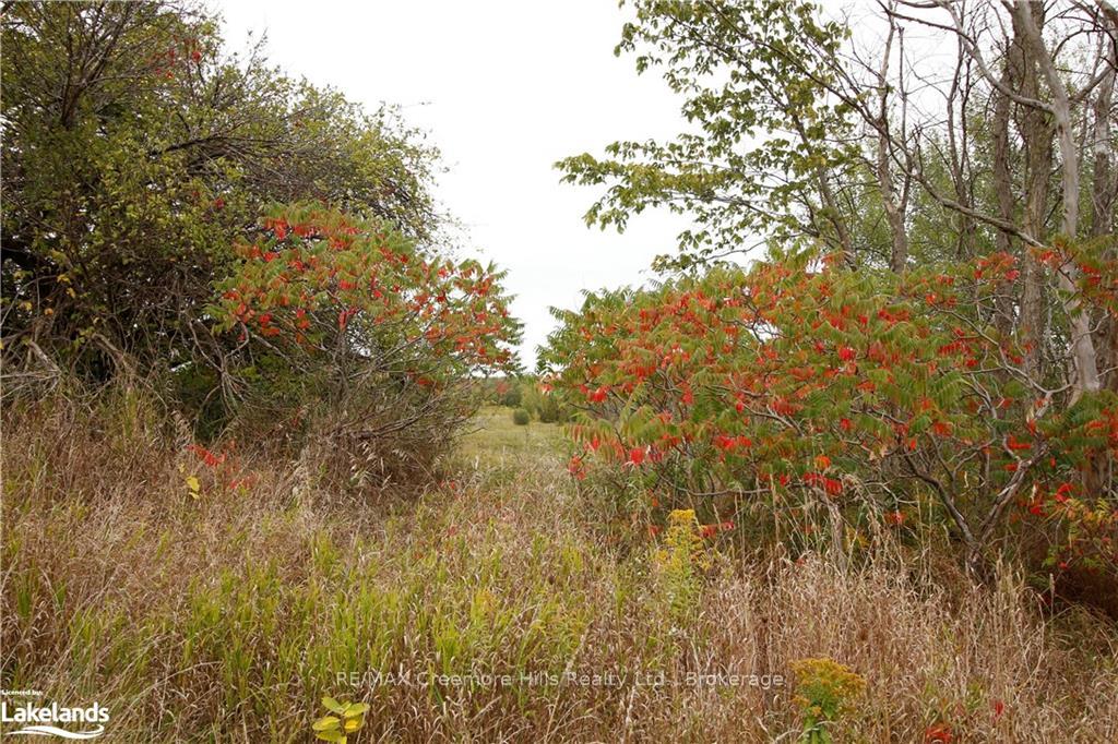 Photo 3 of 3/4 Sunnidale Side Road, Clearview, Rural Clearview — HOMEH