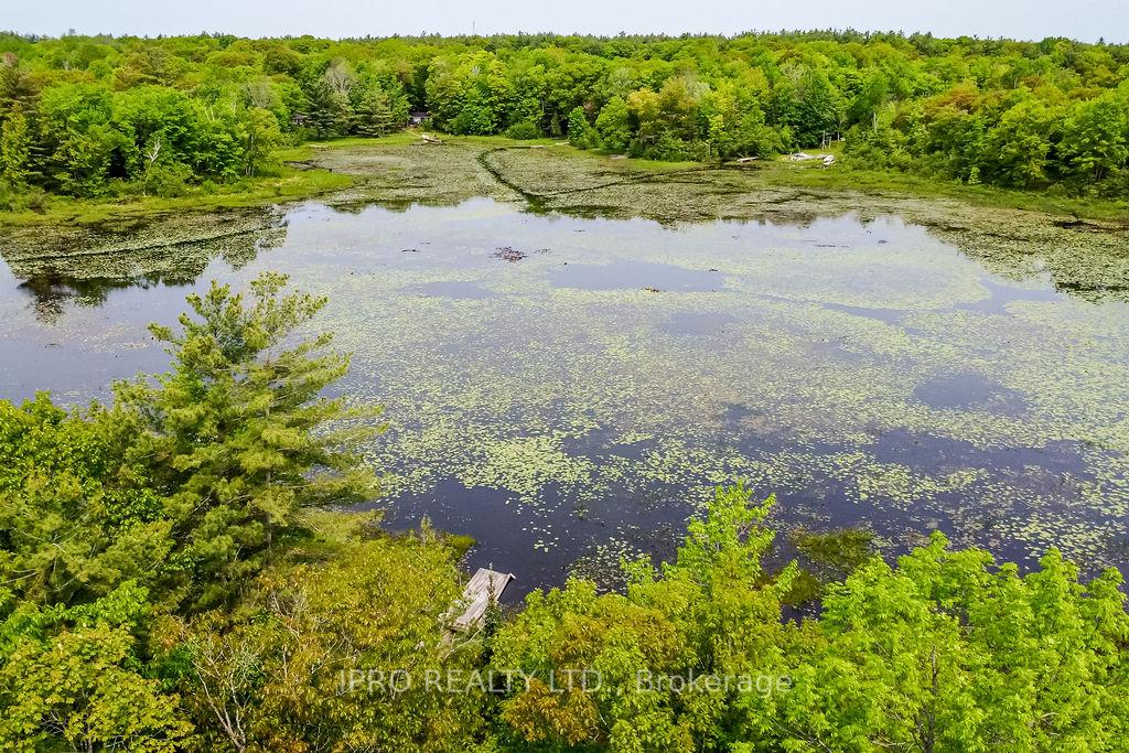 Photo 4 of 382 Corrievale Road, Georgian Bay, Baxter — HOMEH