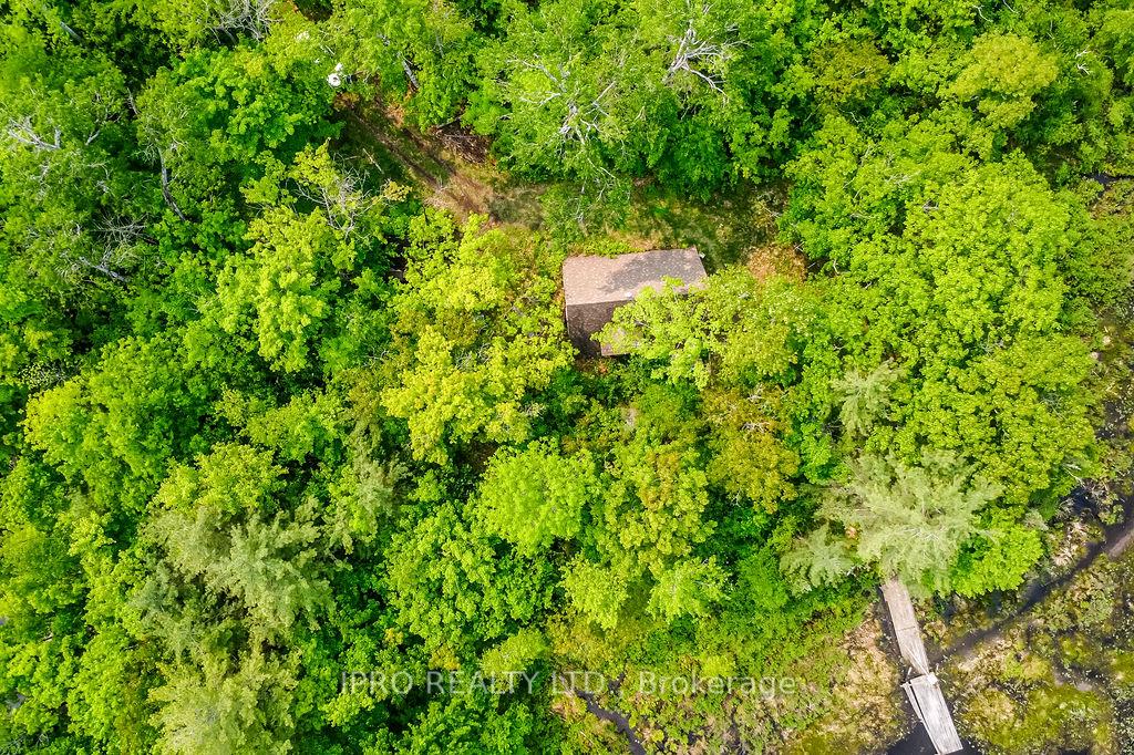Photo 7 of 382 Corrievale Road, Georgian Bay, Baxter — HOMEH