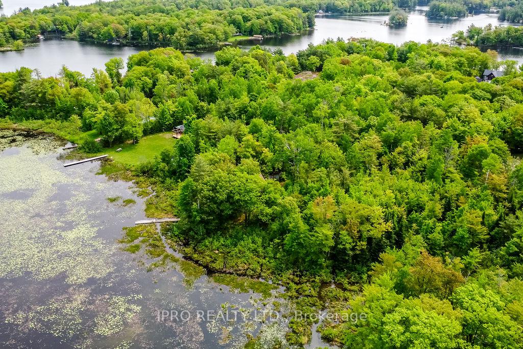 Photo 9 of 382 Corrievale Road, Georgian Bay, Baxter — HOMEH