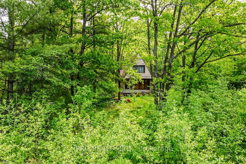 Photo 12 of 382 Corrievale Road, Georgian Bay, Baxter — HOMEH
