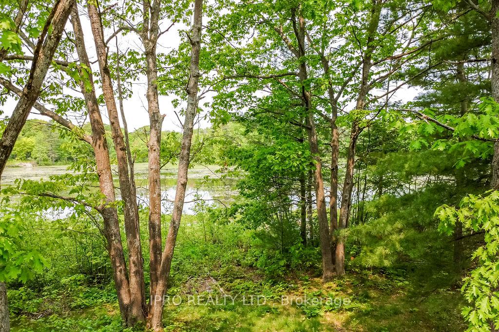 Photo 17 of 382 Corrievale Road, Georgian Bay, Baxter — HOMEH