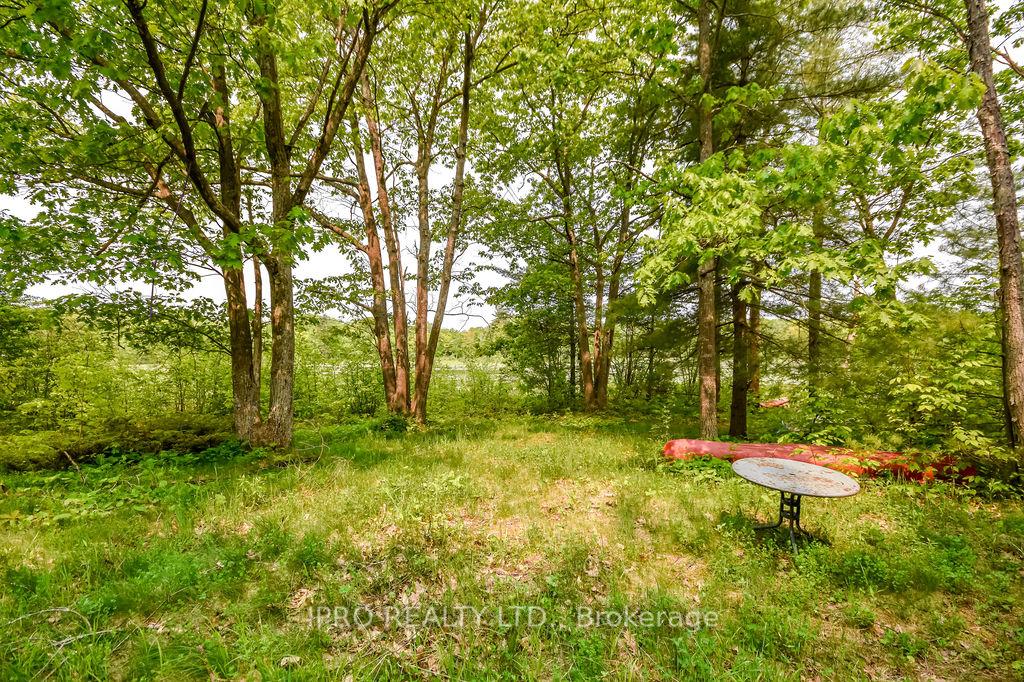 Photo 31 of 382 Corrievale Road, Georgian Bay, Baxter — HOMEH