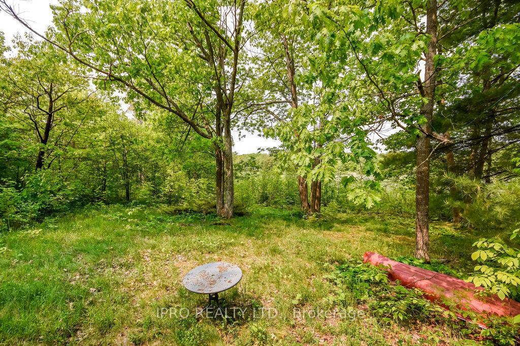 Photo 46 of 382 Corrievale Road, Georgian Bay, Baxter — HOMEH