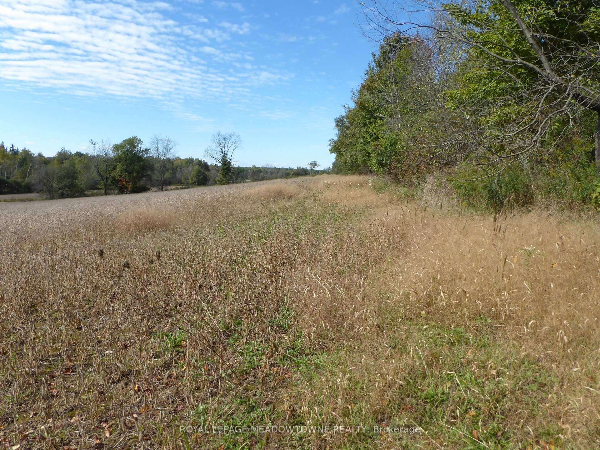 Photo 6 of 00 Third Line, Erin, Rural Erin — HOMEH