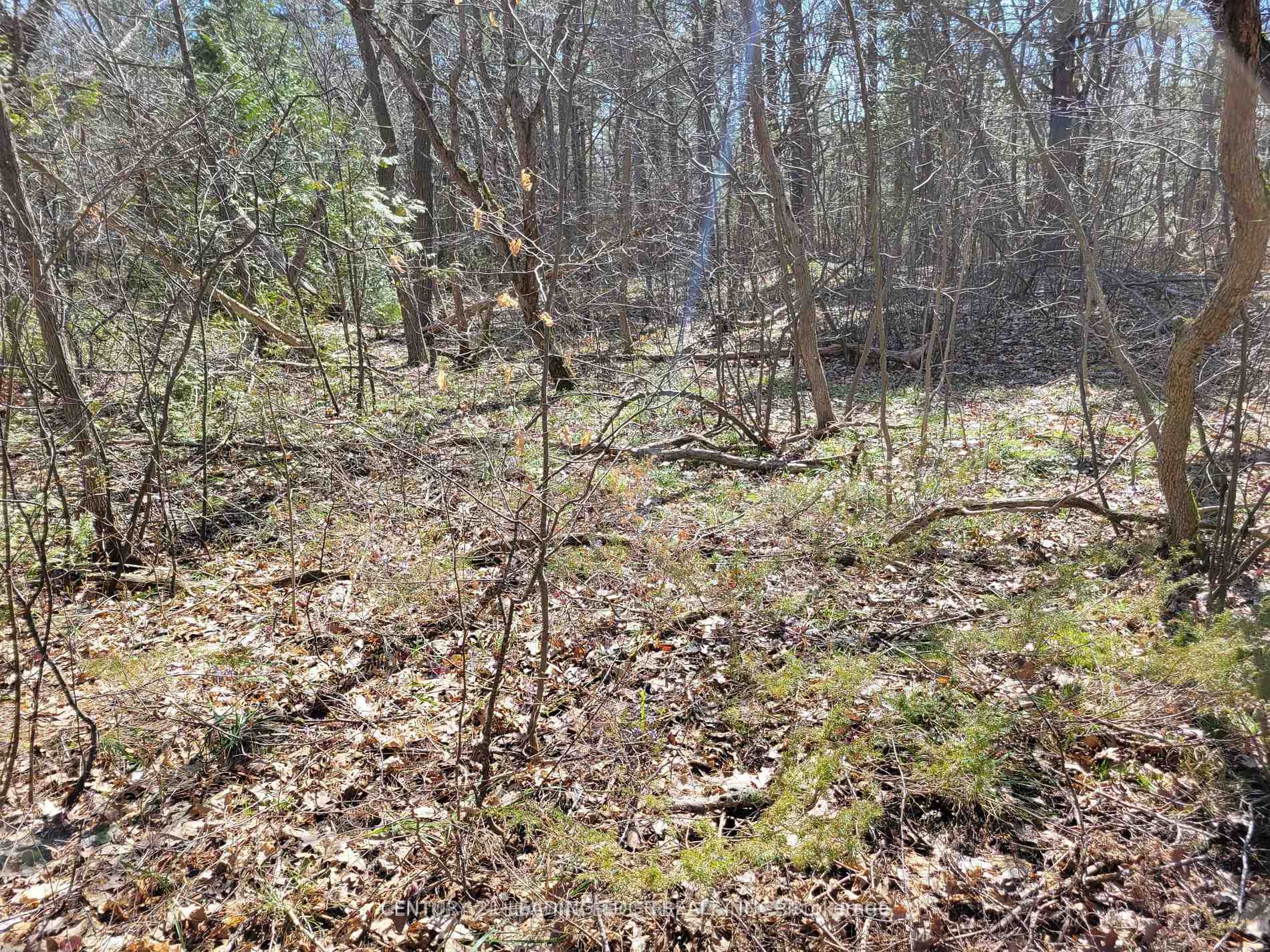 Photo 2 of 16 Giant'S Tomb Island, Tiny, Rural Tiny — HOMEH
