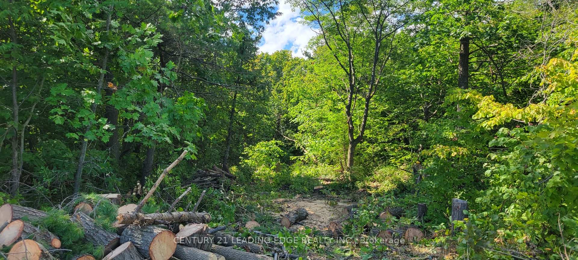Photo 6 of 16 Giant'S Tomb Island, Tiny, Rural Tiny — HOMEH