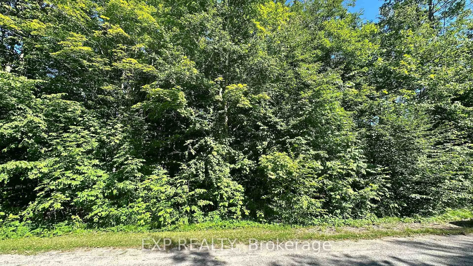 Photo 6 of Lot 18 Mulberry Court, Tiny, Rural Tiny — HOMEH