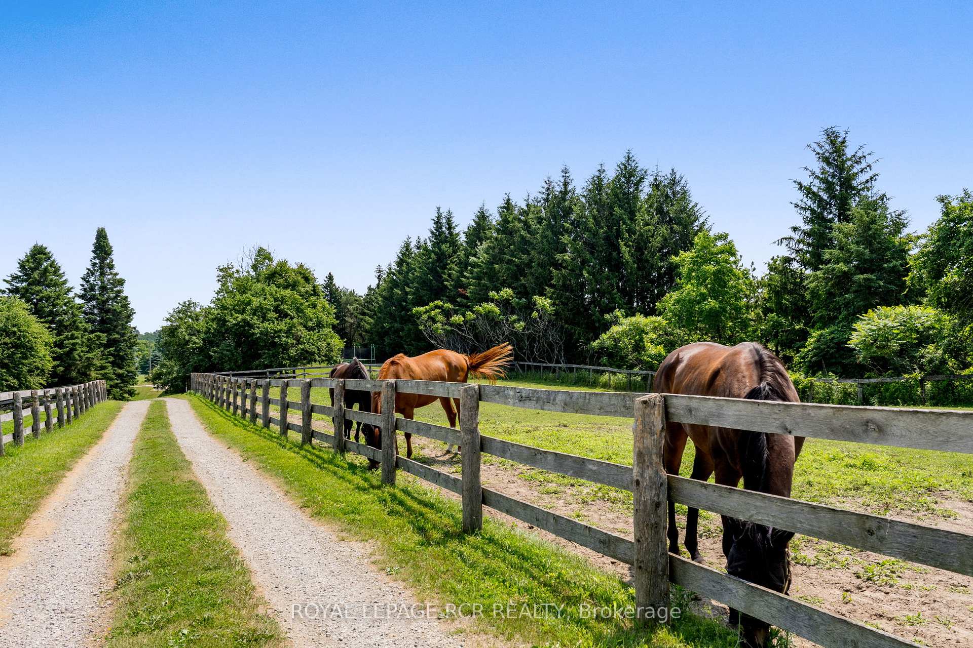 Photo 10 of 994034 Mono/Adjala Townline Road, Mono, Rural Mono — HOMEH