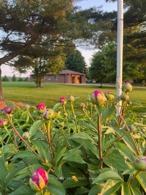 Photo 4 of 16791 Wyton Road, Thames Centre, Rural Thames Centre — HOMEH