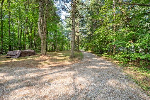 Photo 5 of 4310 Canal Road, Severn, Rural Severn — HOMEH