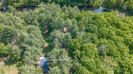 Photo 23 of 4310 Canal Road, Severn, Rural Severn — HOMEH