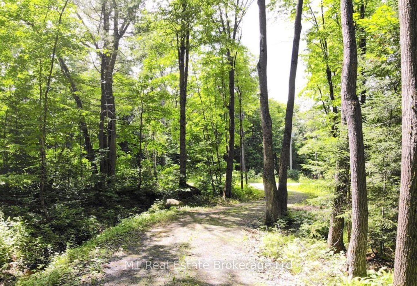 Photo 10 of 63 North Sandy Plains Road N, Seguin — HOMEH