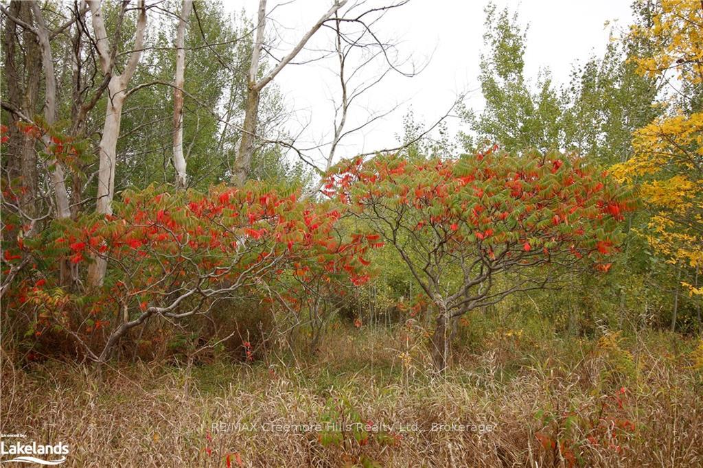 Photo 9 of 3/4 Sideroad Sunnidale Road, Clearview, Rural Clearview — HOMEH