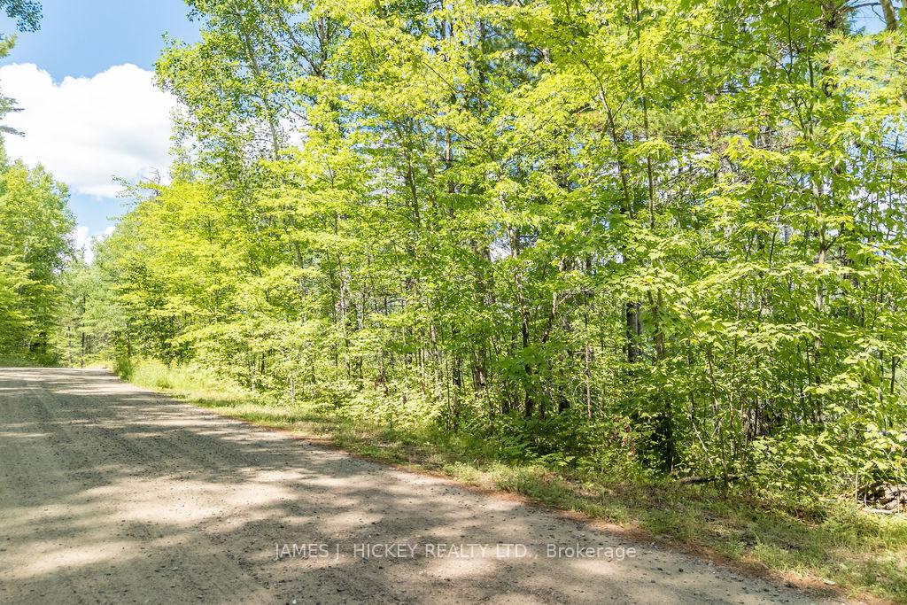 Photo 2 of 00 McAnulty Road, Deep River — HOMEH