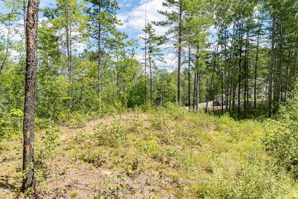 Photo 31 of 00 McAnulty Road, Deep River — HOMEH