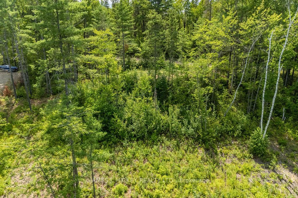 Photo 21 of 00 McAnulty Road, Deep River — HOMEH