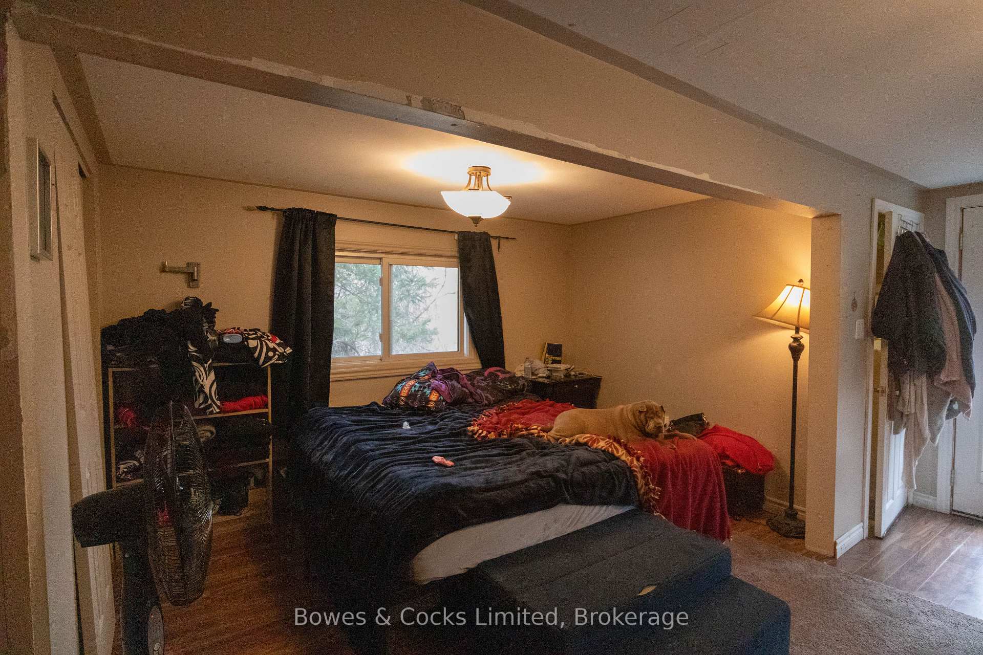 Photo 31 of 35 Cleak Avenue, Bancroft, Bancroft Ward — HOMEH