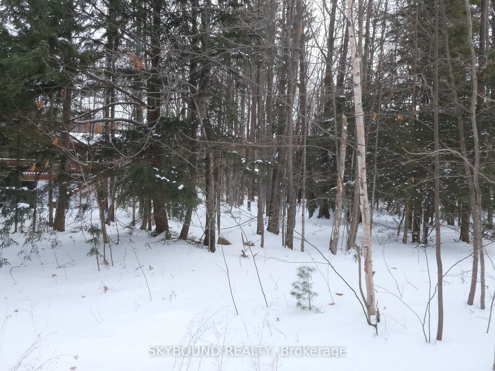 Photo 1 of LOT 577 Forest Circle, Tiny, Rural Tiny — HOMEH