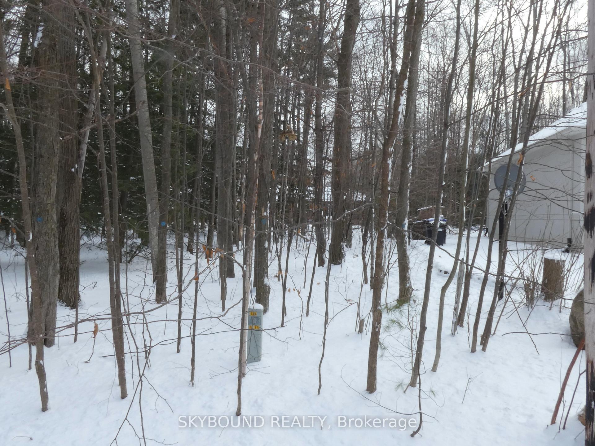 Photo 5 of LOT 577 Forest Circle, Tiny, Rural Tiny — HOMEH