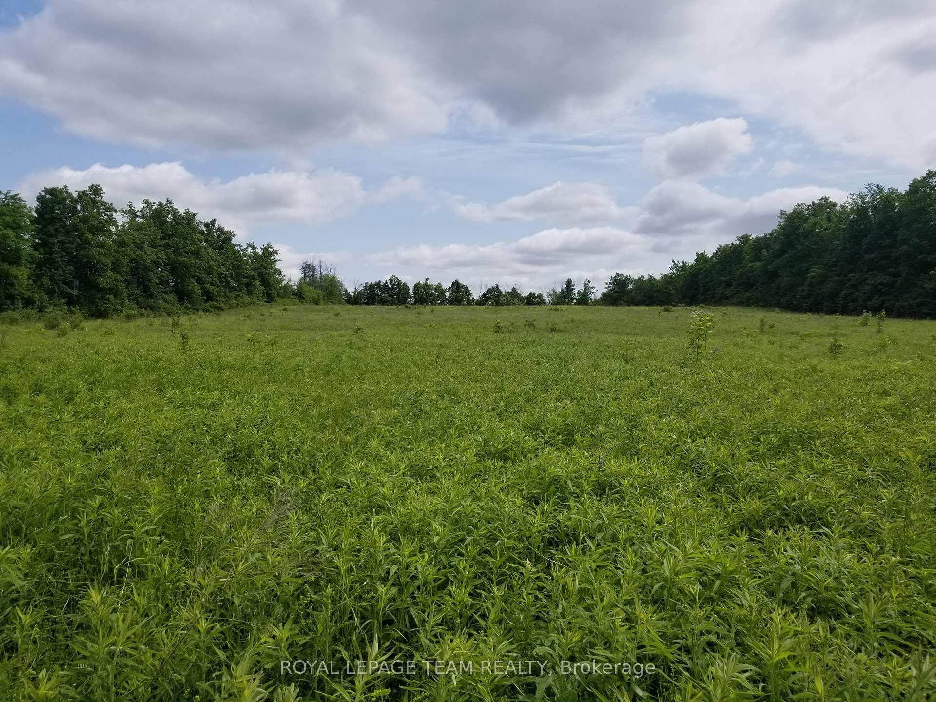 Photo 6 of 0000 Scrivens Drive S, Ottawa, Osgoode Twp North of Reg Rd 6 — HOMEH