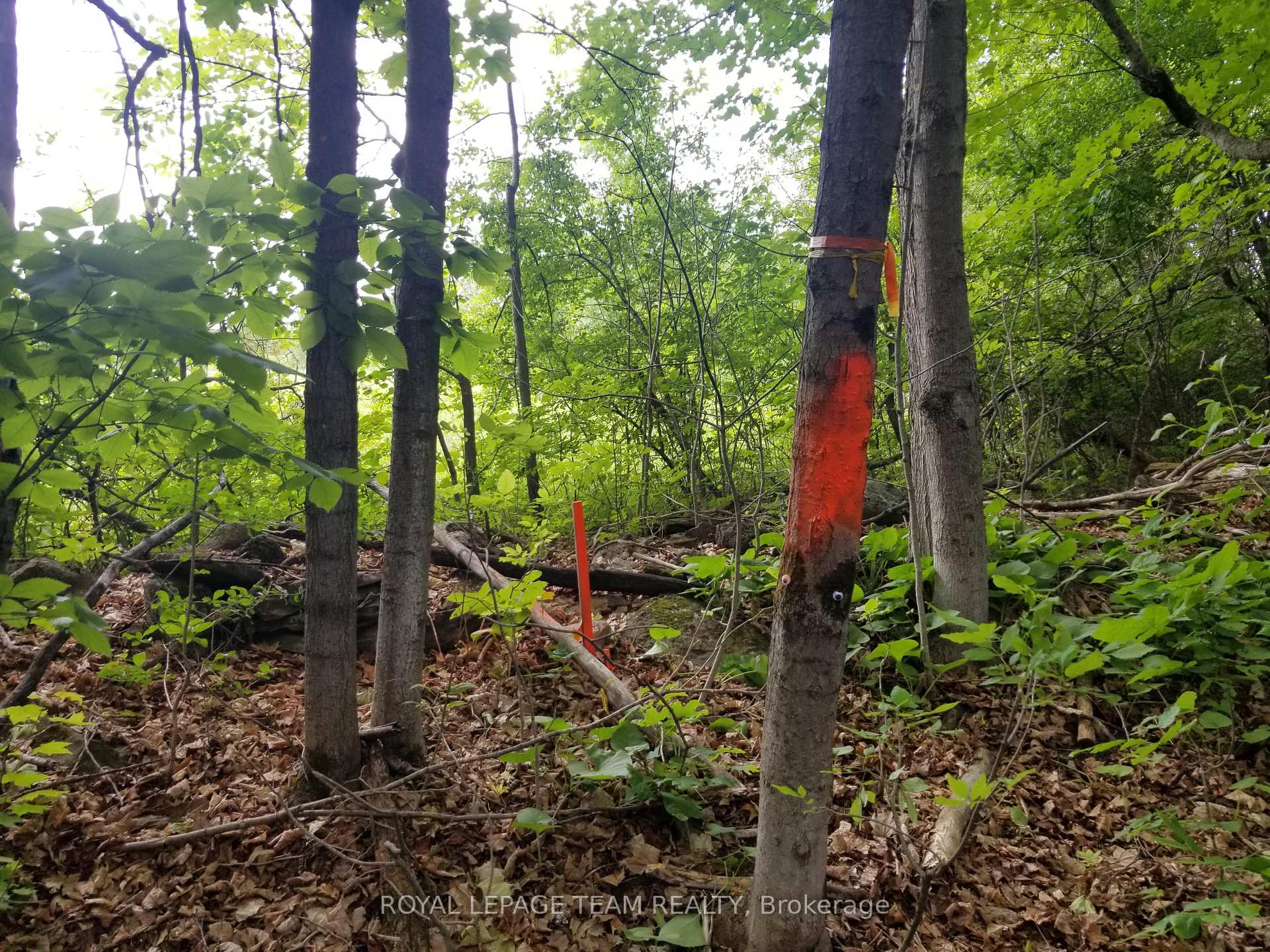 Photo 9 of 0000 Scrivens Drive S, Ottawa, Osgoode Twp North of Reg Rd 6 — HOMEH