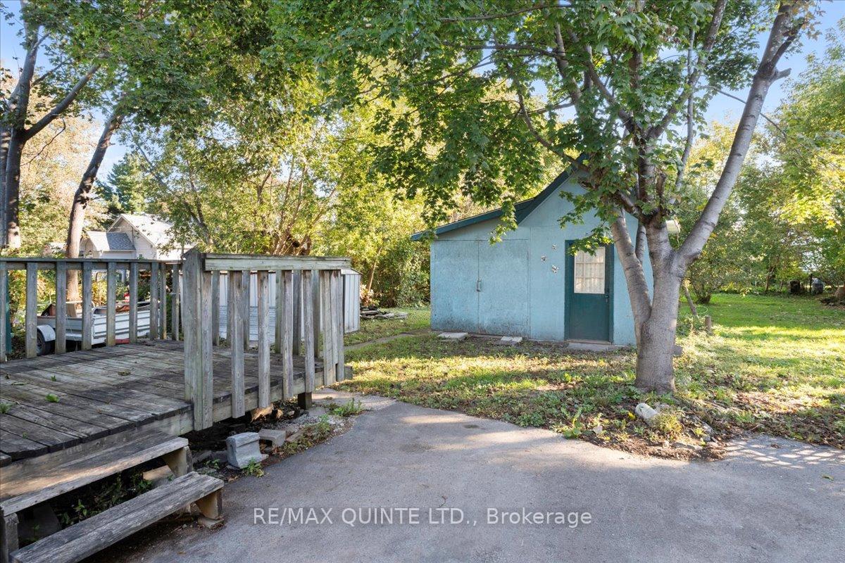 Photo 37 of 15 Murney Street, Belleville, Belleville Ward — HOMEH