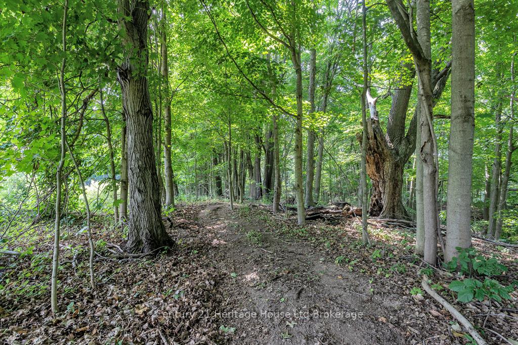 Photo 38 of 686 Goshen Road, Norfolk, Rural Middleton — HOMEH