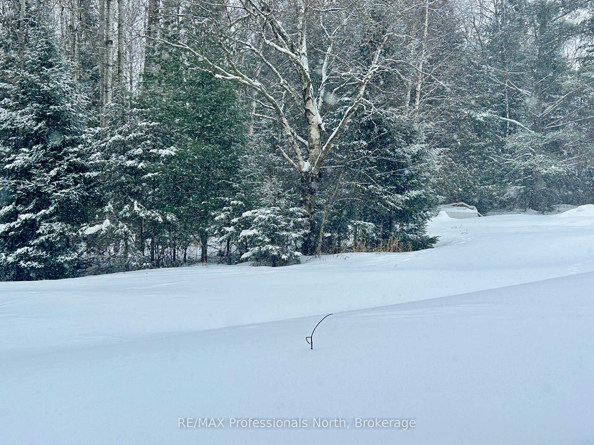 Photo 22 of 22 Robert Drive, Faraday — HOMEH