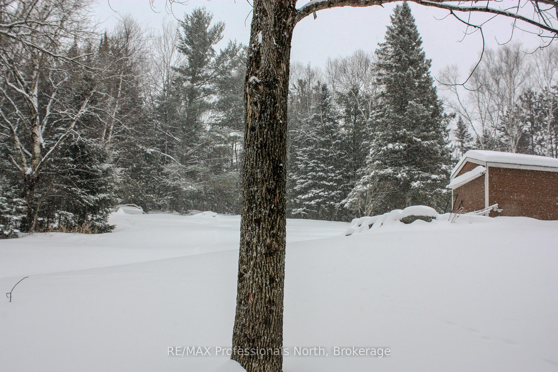 Photo 4 of 22 Robert Drive, Faraday — HOMEH